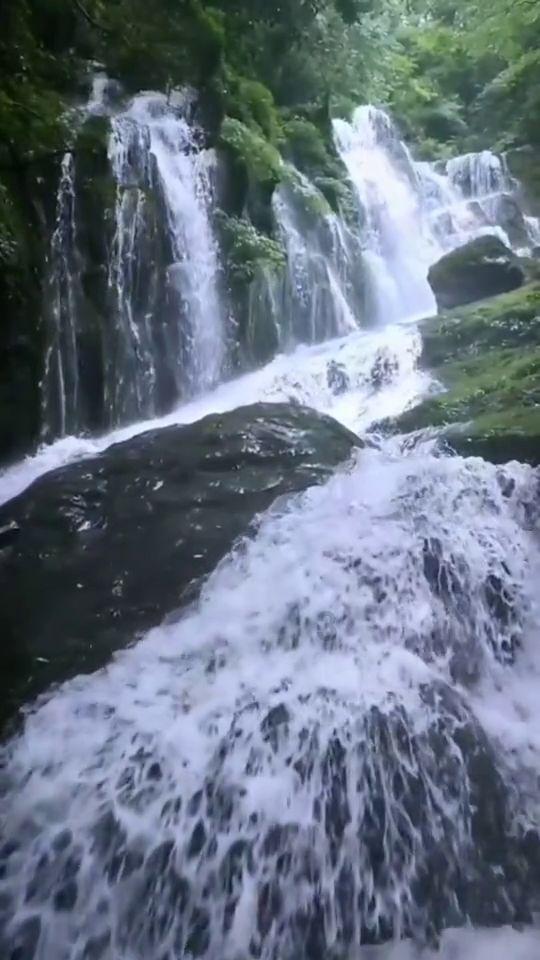 拯救胖男孩